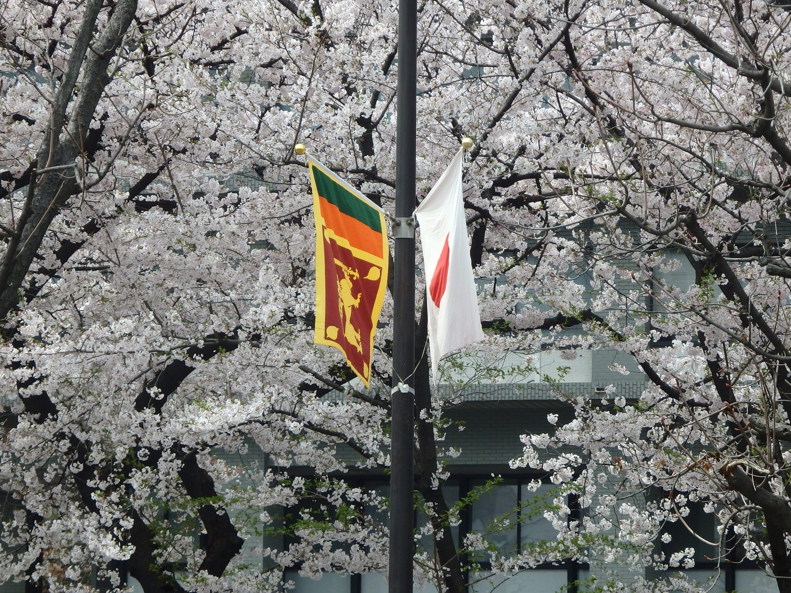 Sri-Lanka-and-Japan-Flags-scaled